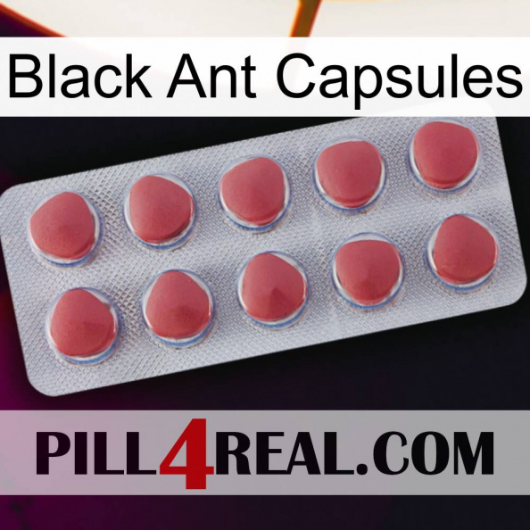 Black Ant Capsules 18.jpg